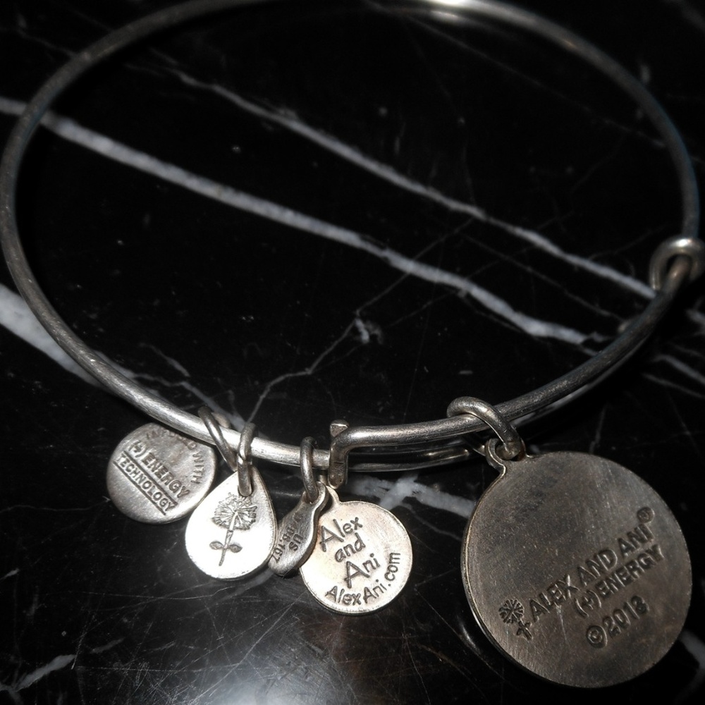Alex And Ani Endless Loop Charm Silver Rafaeilian - Picture 7 of 8